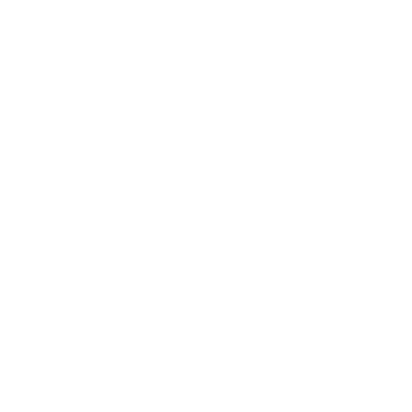 Neten Logo 2 FN-SF